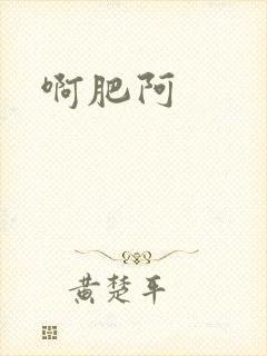 啊肥阿封面