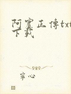 阿宾正传txt下载