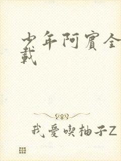 少年阿宾全集下载封面