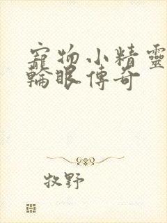 宠物小精灵之写轮眼传奇