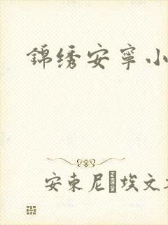 锦绣安宁小说