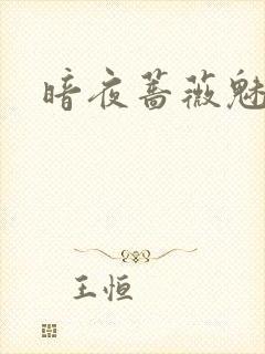 暗夜蔷薇魅