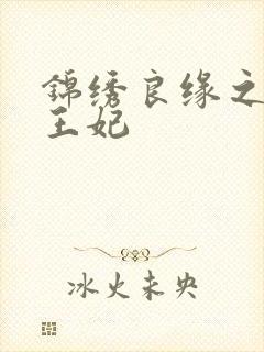 锦绣良缘之北地王妃