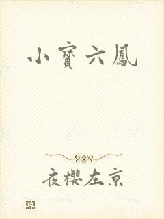 小宝六凤