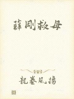 薛刚救母