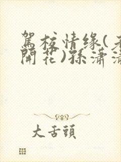 驾校情缘(老树开花)孙潇潇笔趣阁封面
