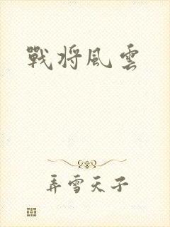 战将风云封面