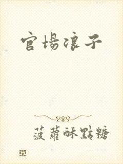 官场浪子