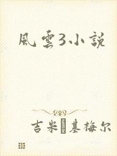 风云3小说封面