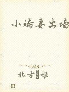 小娇妻出墙记
