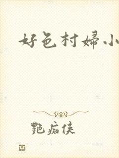 好色村妇小银贼封面