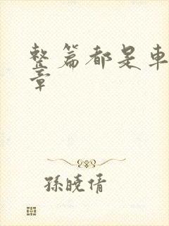 整篇都是车的文章