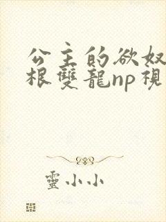公主的欲奴h四根双龙np视频