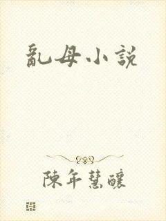 乱母小说
