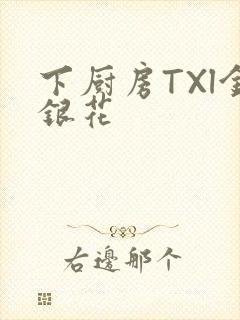 下厨房TXl金银花