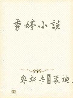 秀婷小说封面