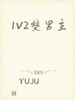 1V2双男主