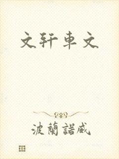 文轩车文