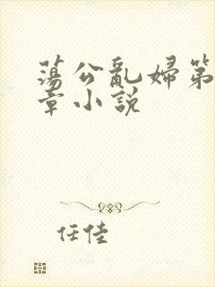 荡公乱妇第51章小说封面