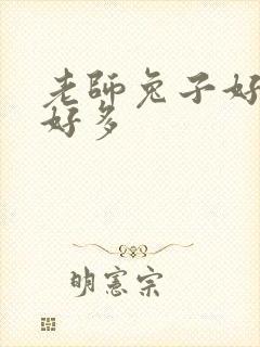 老师兔子好软水好多