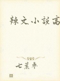 辣文小说高h