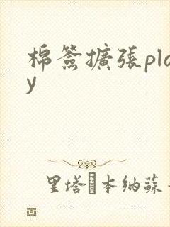 棉签扩张play封面