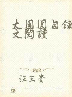 大团圆目录及全文阅读封面