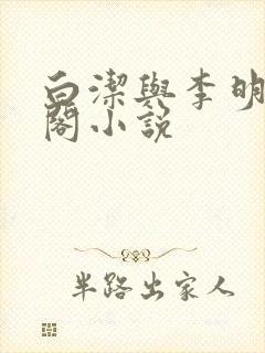 白洁与李明笔趣阁小说封面
