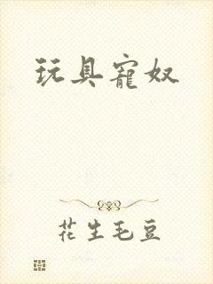 玩具宠奴