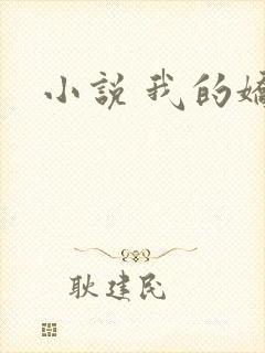 小说 我的娇妻