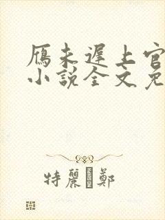 雁未迟上官穿越小说全文免费阅读