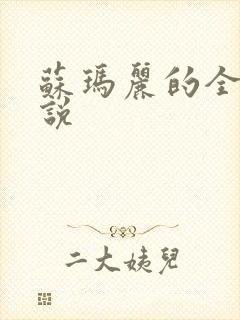 苏玛丽的全部小说