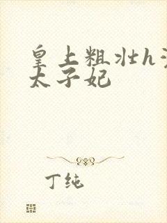 皇上粗壮h灌满太子妃封面