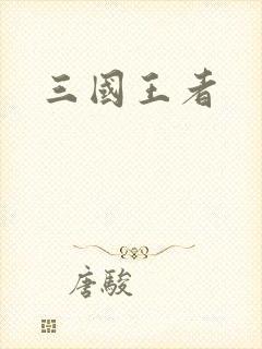 三国王者封面