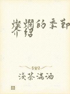 灿烂的季节剧情介绍