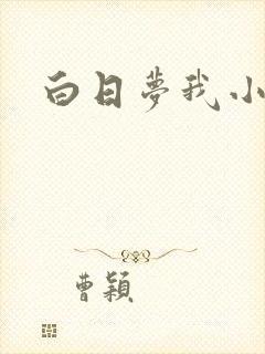 白日梦我小说