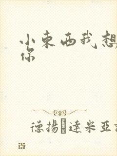 小东西我想弄坏你