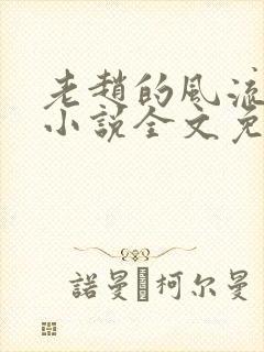 老赵的风流人生小说全文免费阅读封面