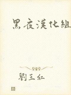 黑夜汉化组