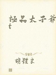 极品太子爷txt