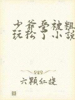少爷受被粗汉H玩松了小说