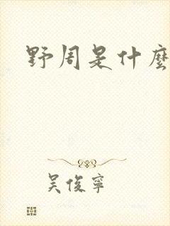 野周是什么意思