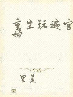 重生玩遍官场贵妇