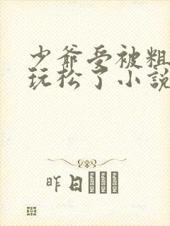 少爷受被粗汉H玩松了小说封面