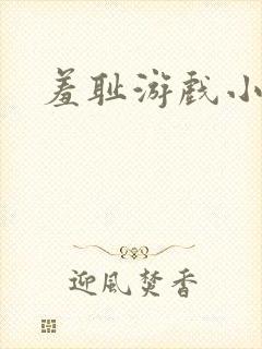 羞耻游戏小说