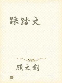 踩踏文封面