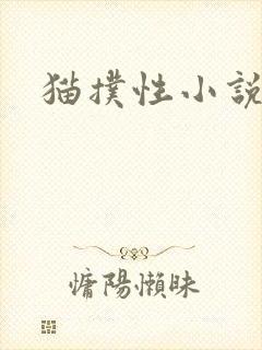 猫扑性小说