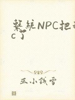 系统NPC把我c了