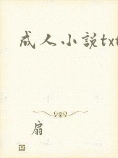 成人小说txt封面