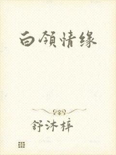 白领情缘封面